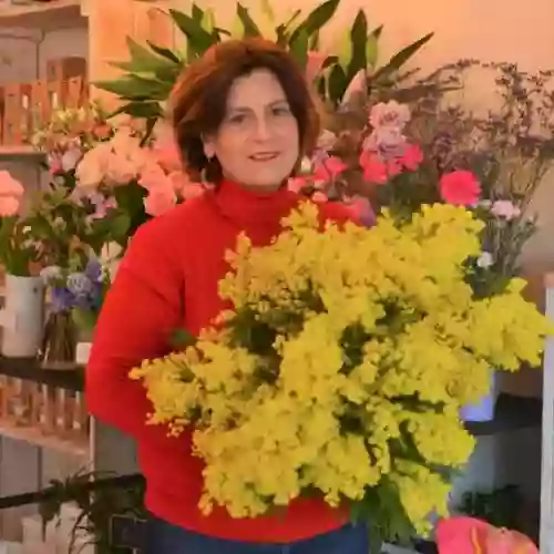 Les Dahlias - fleuriste Argenteuil
