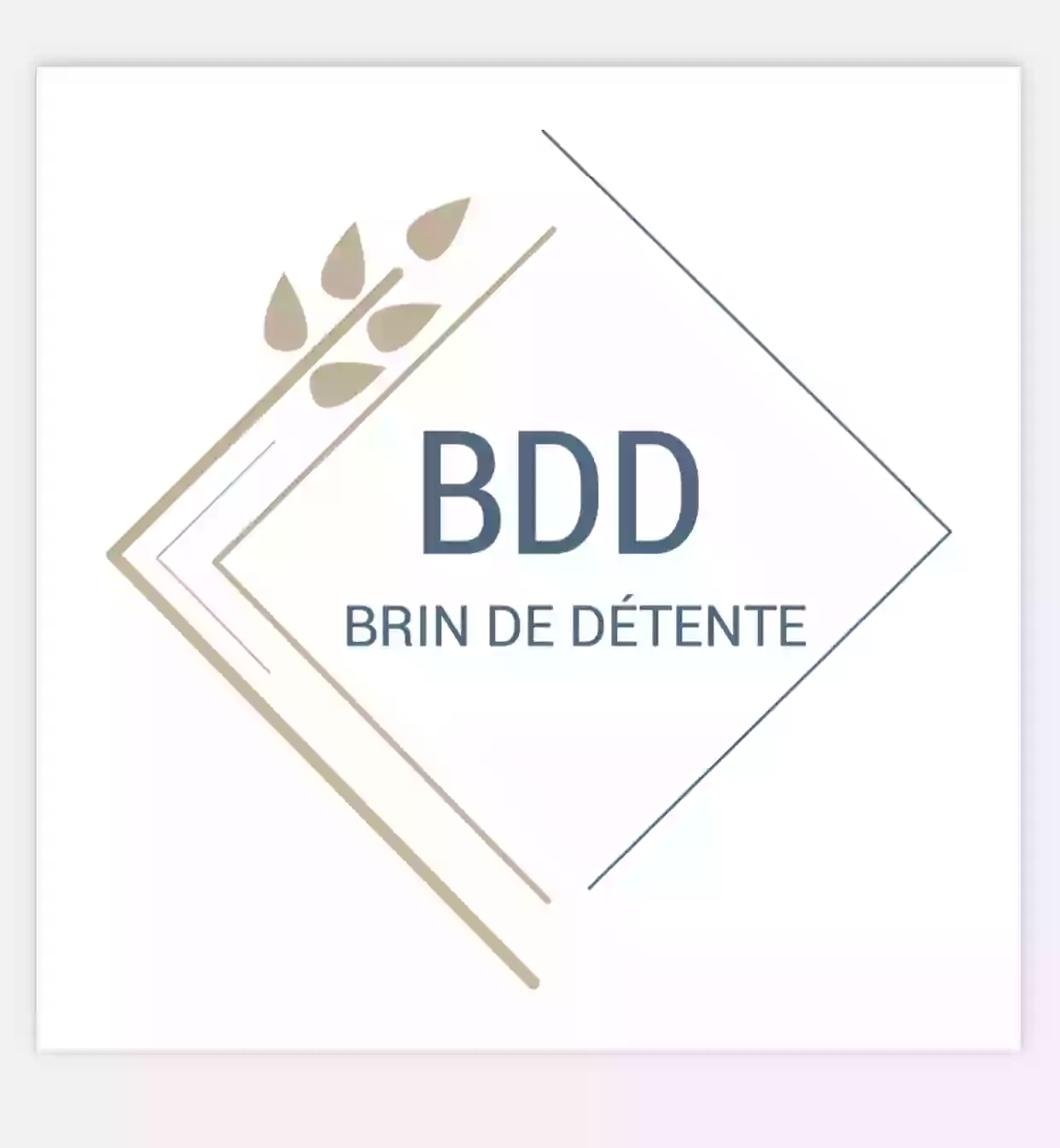 BRIN DE DETENTE