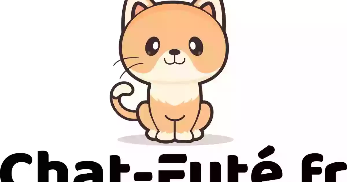 Chat-Futé