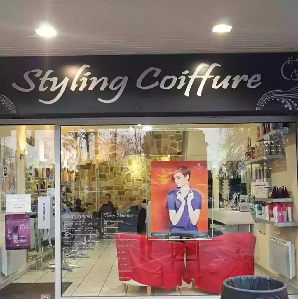 Styling Coiffure