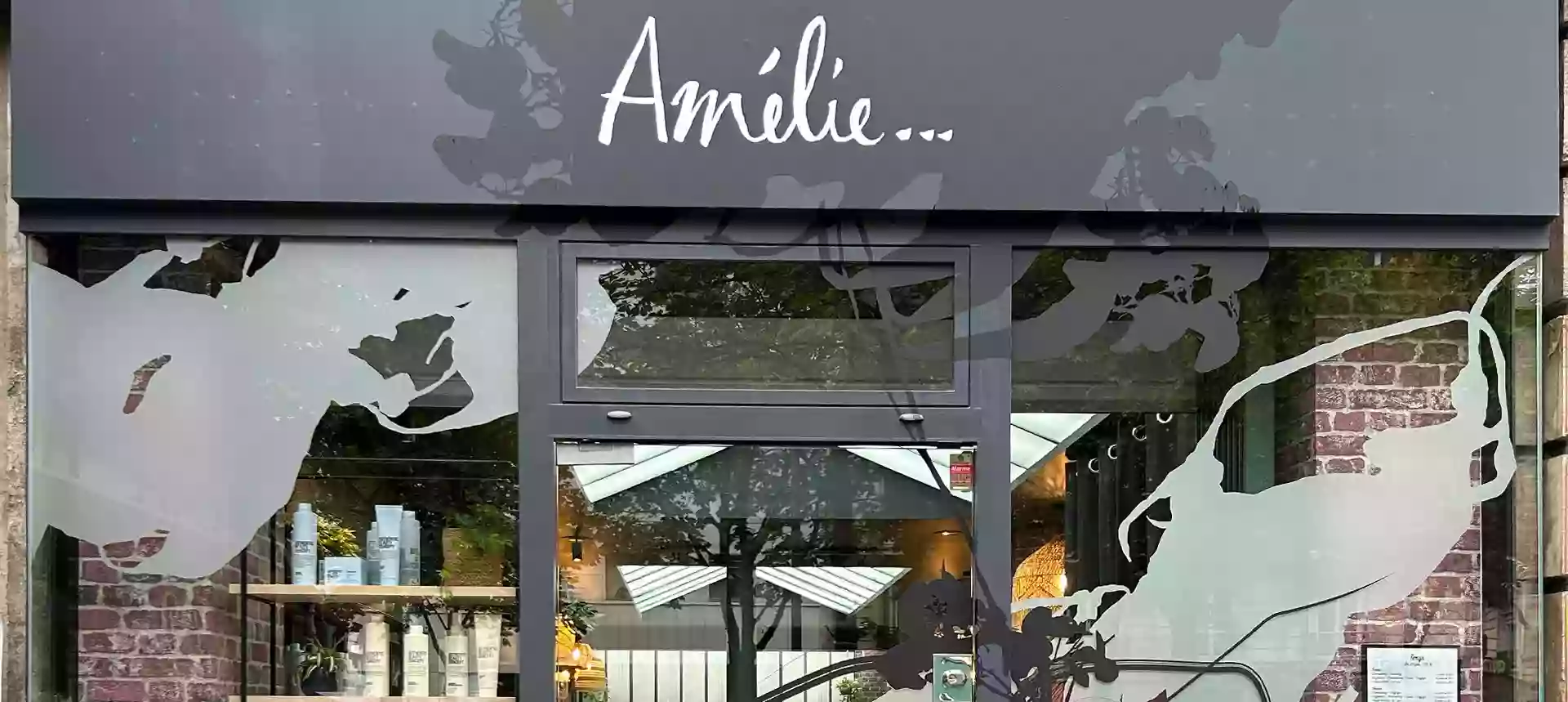 Amélie ... Coiffeur Paris 15