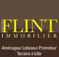 Flint Immobilier Chaumontel 95