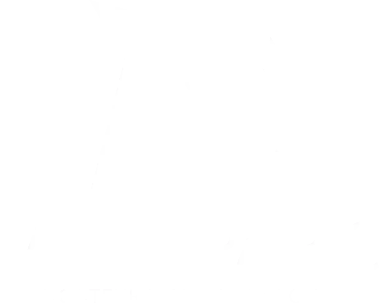 VETINPARIS Chemin vert - Clinique vétérinaire du Dr Pascal Manenti