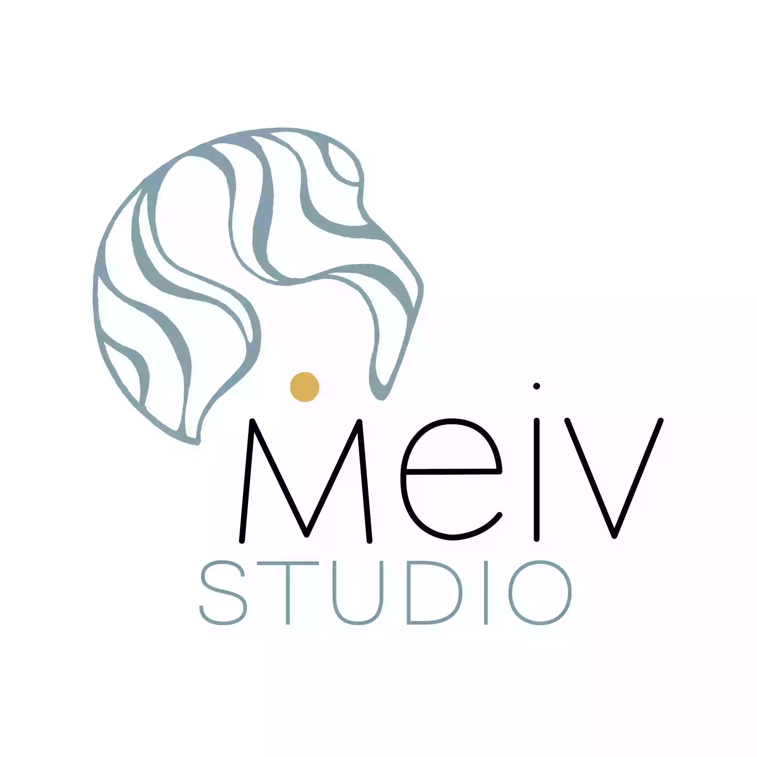 MEIV studio