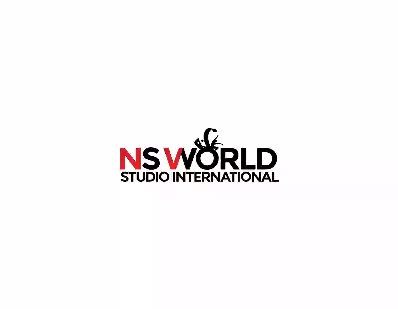 NS World Studio International formations pros/ école de chant danse théâtre - Paris