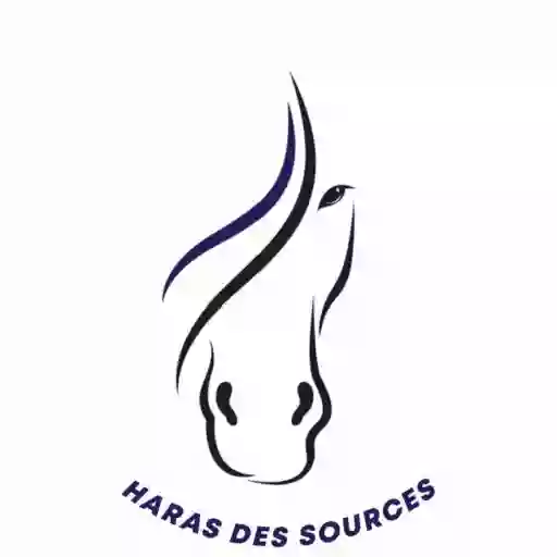 Haras des Sources - Centre équestre & Ecurie de propriétaires - 77