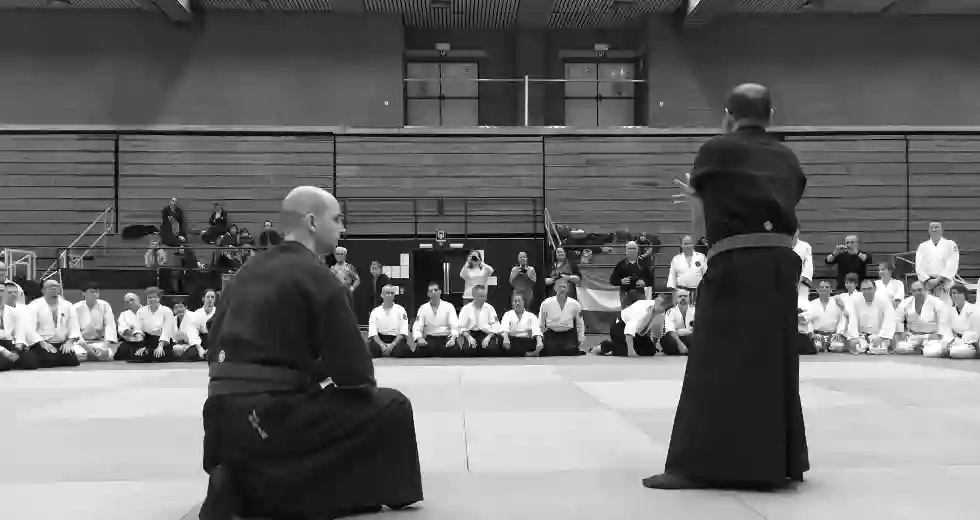 Himeidojo - Dojo de JuJutsu de l'école Kokodo