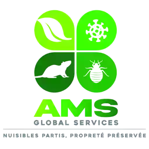 AMS Global services