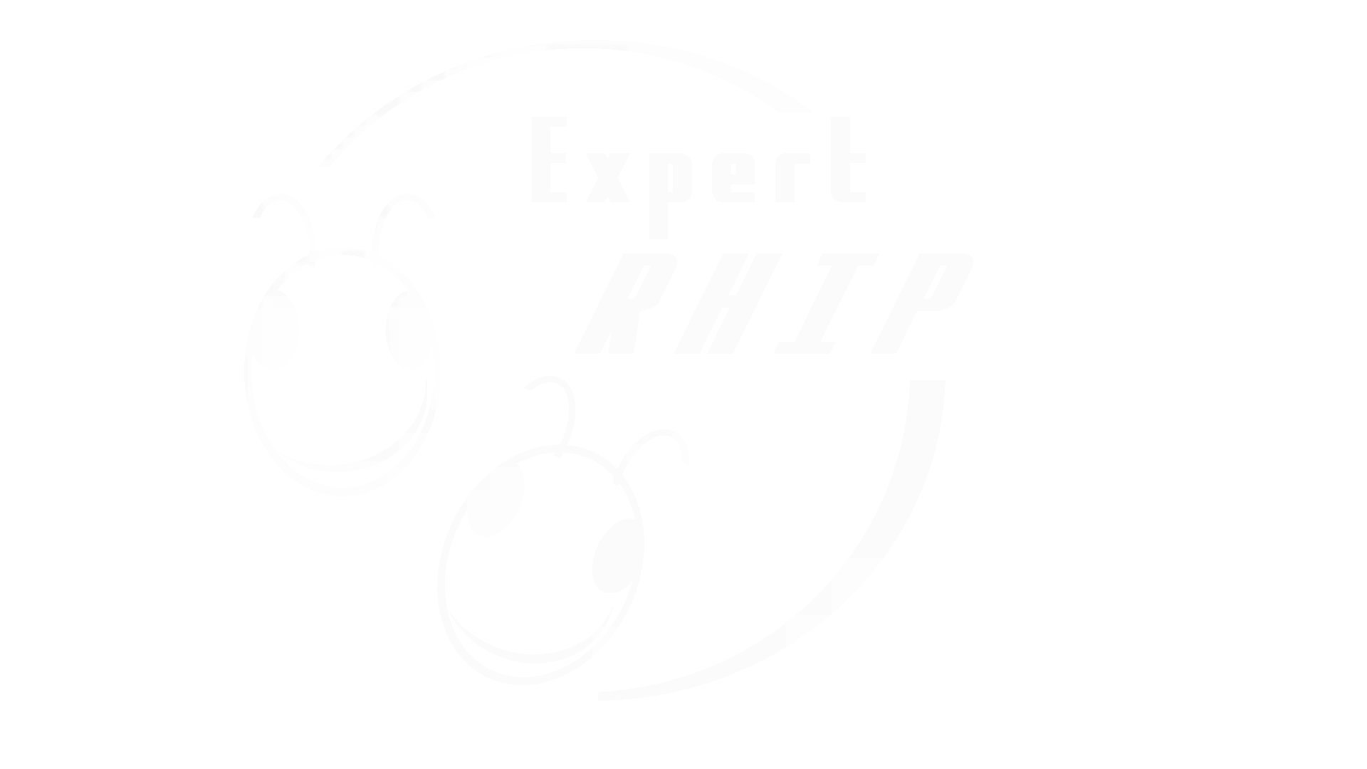 Expert RHIP