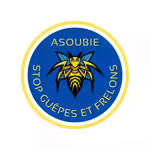 ASoubie Stop Guêpes et Frelons