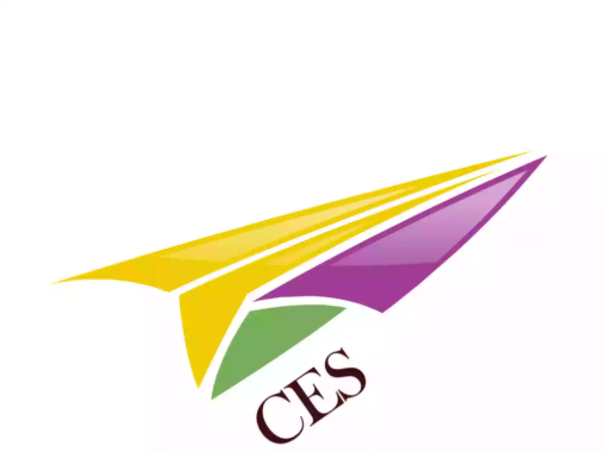 Caribbean Express Services (CES)