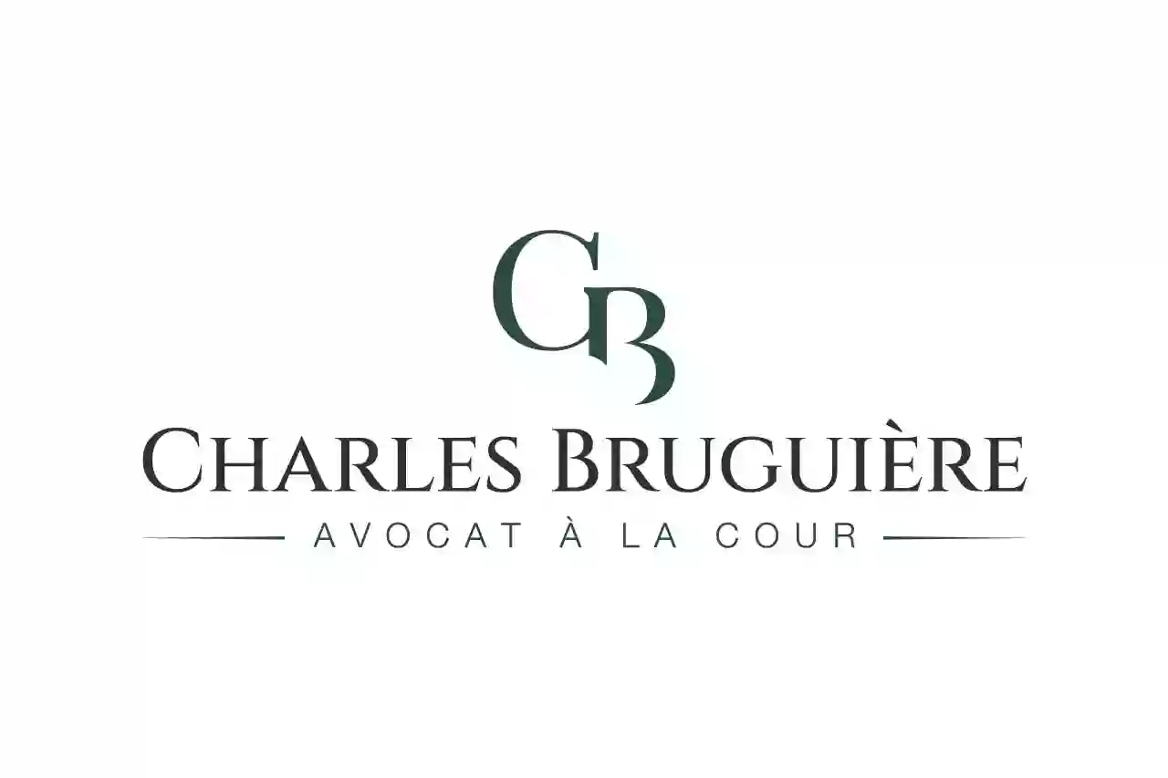 Maître Charles Bruguière | Avocat en Droit pénal | France