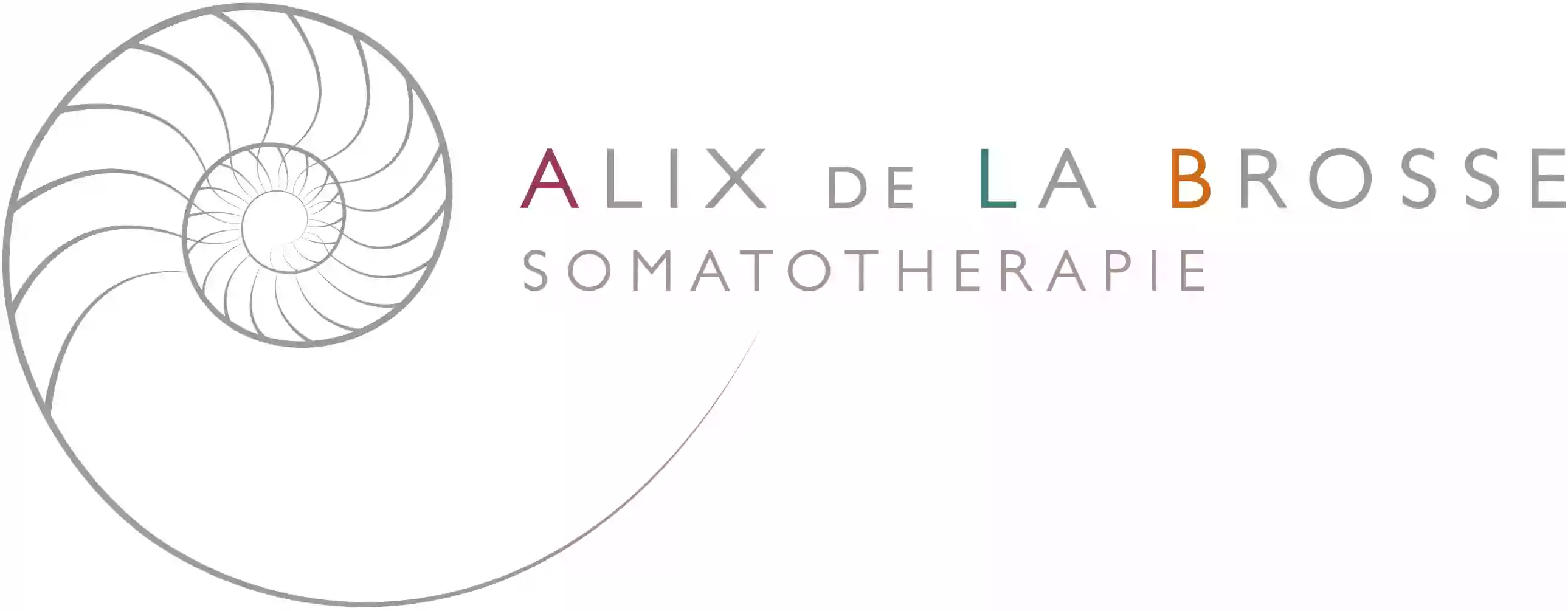 Alix de La Brosse Somatothérapie, Psychothérapie, Analyse Transactionnelle