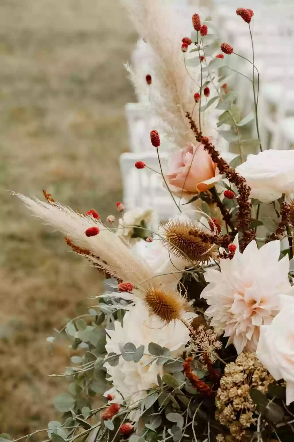 Fragments de Jardins