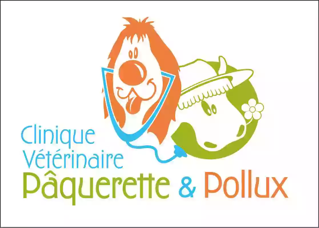 Clinique Veterinaire Paquerette Et Pollux