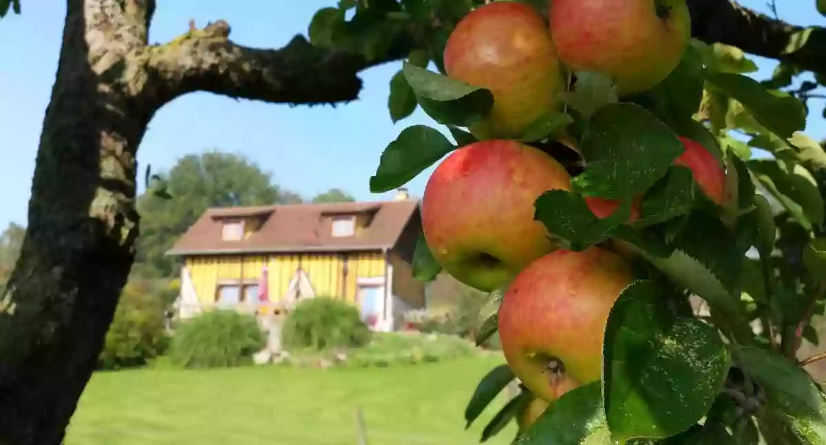 Domaine du Martinaa - Gite, Piscine chauffée, Parc Animalier en Normandie