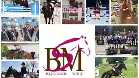 BSM Equine Vet