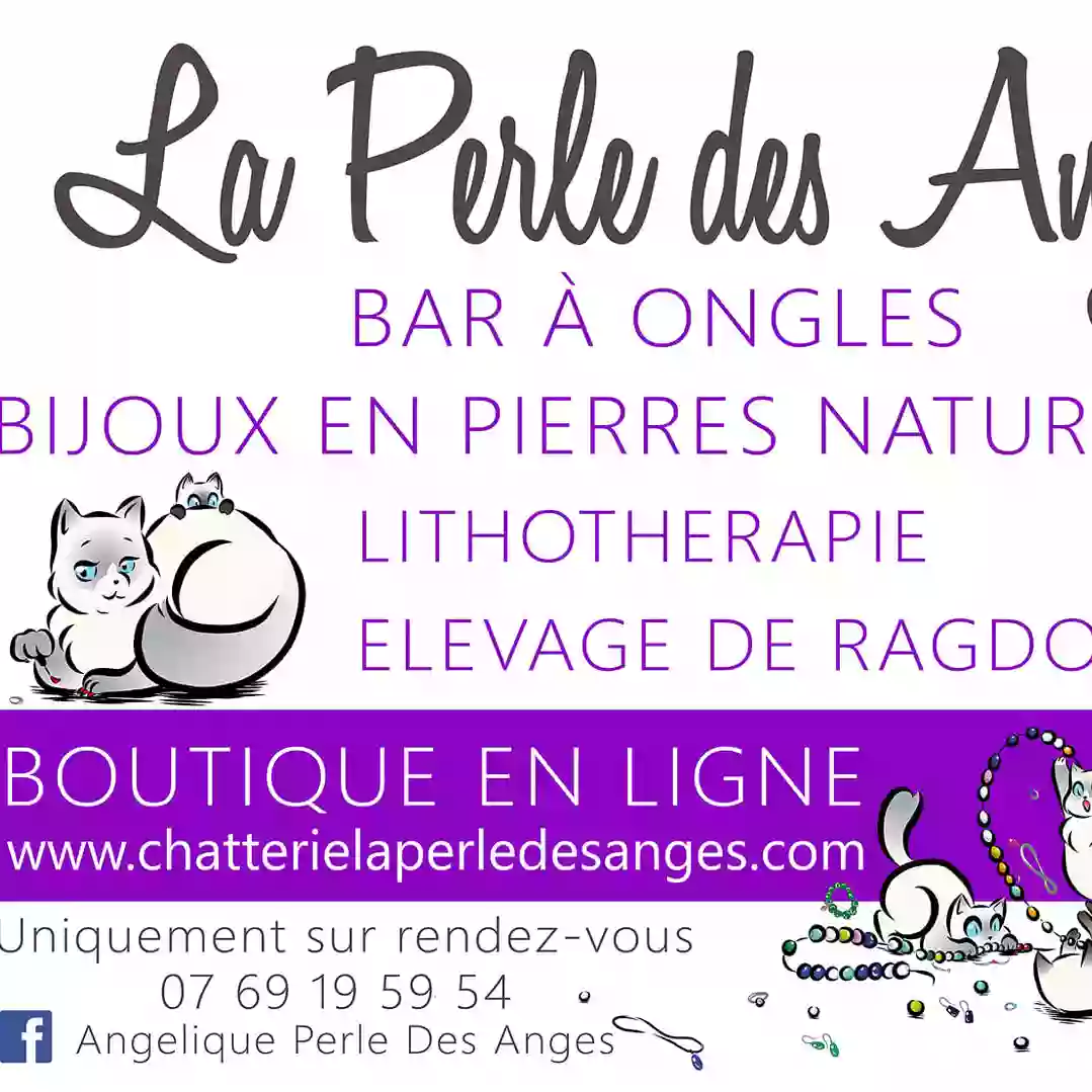 CHATTERIE LA PERLE DES ANGES RAGDOLL NORMANDIE CAEN CALVADOS