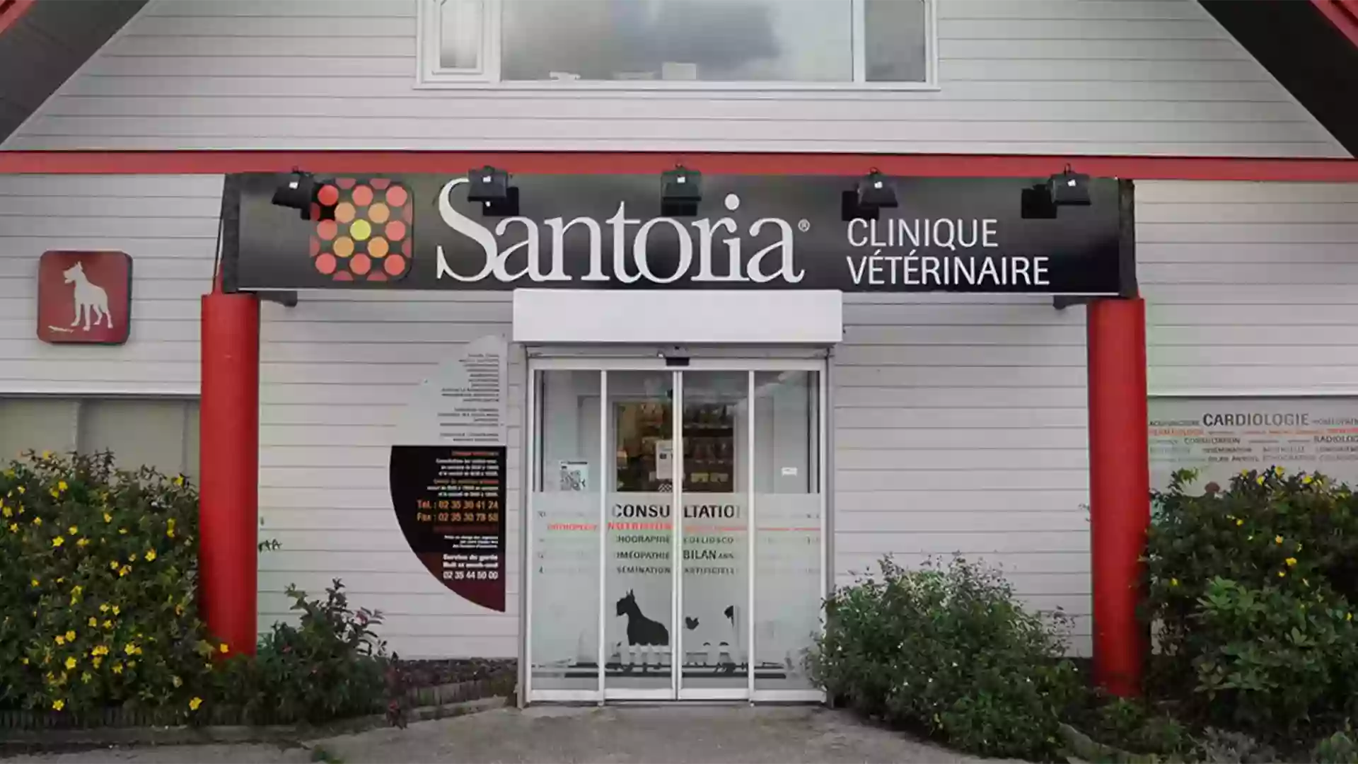 Santoria Clinique Vétérinaire Saint Roch