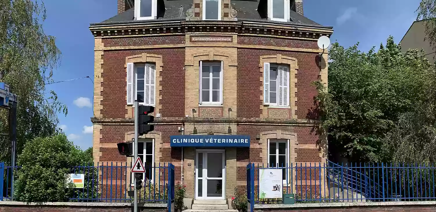 Clinique Vétérinaire Clémenceau