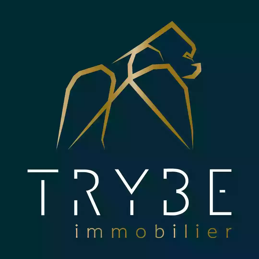 TRYBE immobilier