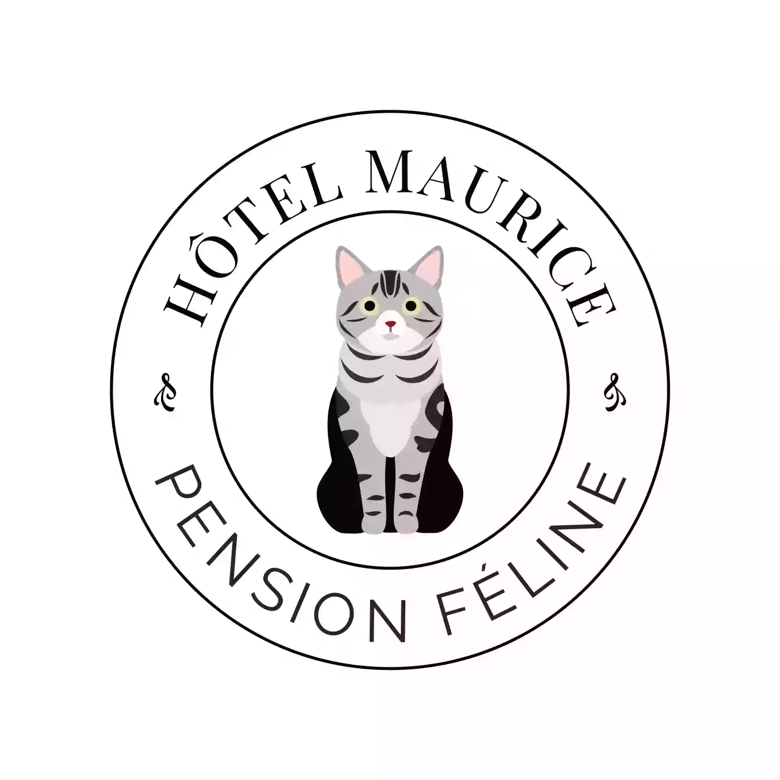 Hôtel Maurice, pension pour chats