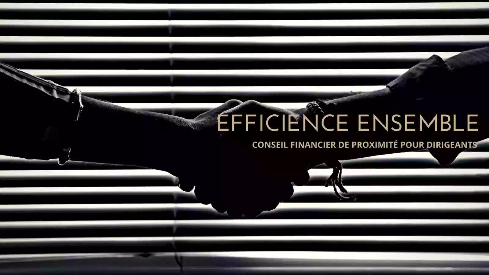 EFFICIENCE ENSEMBLE Conseil Financier