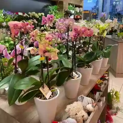 Fleuriste "Fleurs et Saveurs Cherbourg"