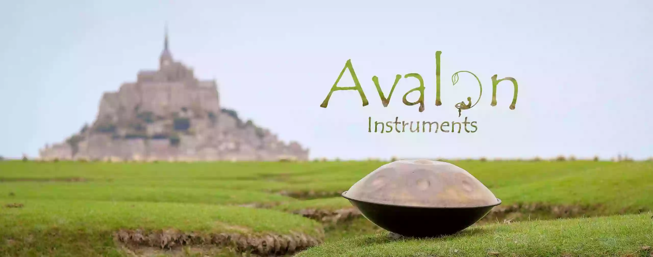 Avalon Instruments