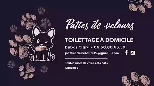 Pattes de velours