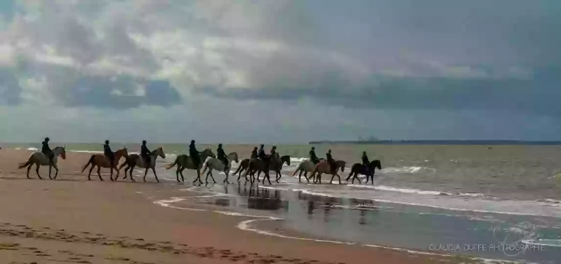 Centre équestre Le Cheval Autrement