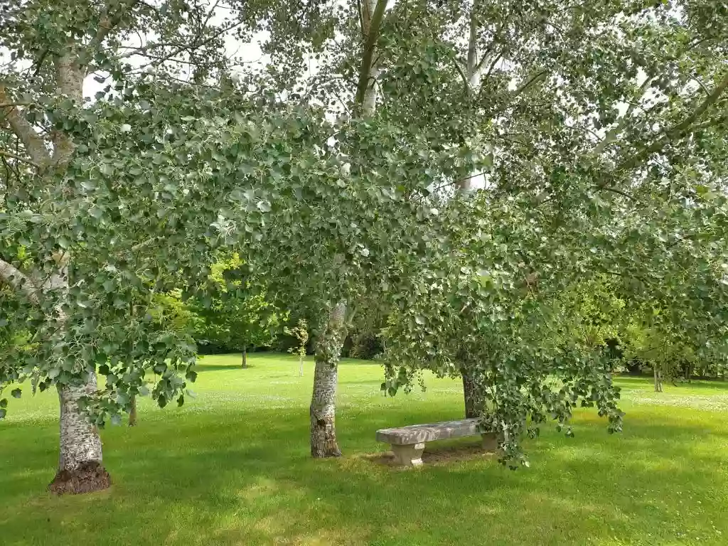 Domaine Les Hauts de Gloriette : Les Écuries