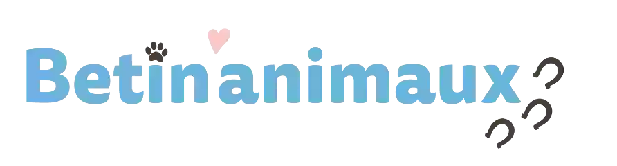 Betin'animaux