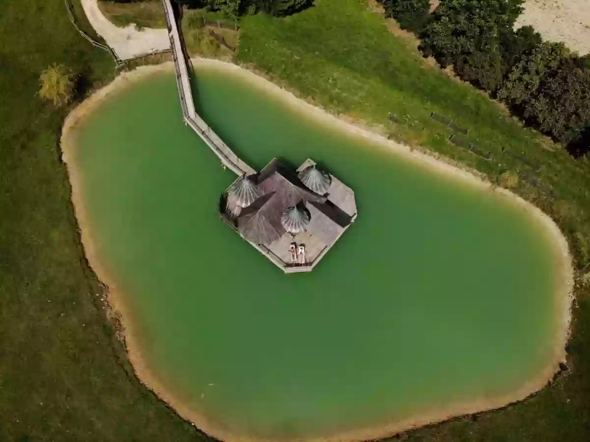 CHATEAUX DANS LES ARBRES