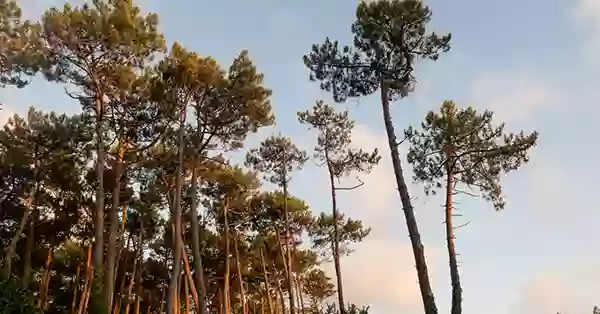 Camping La Maïade (ex L'Estival)