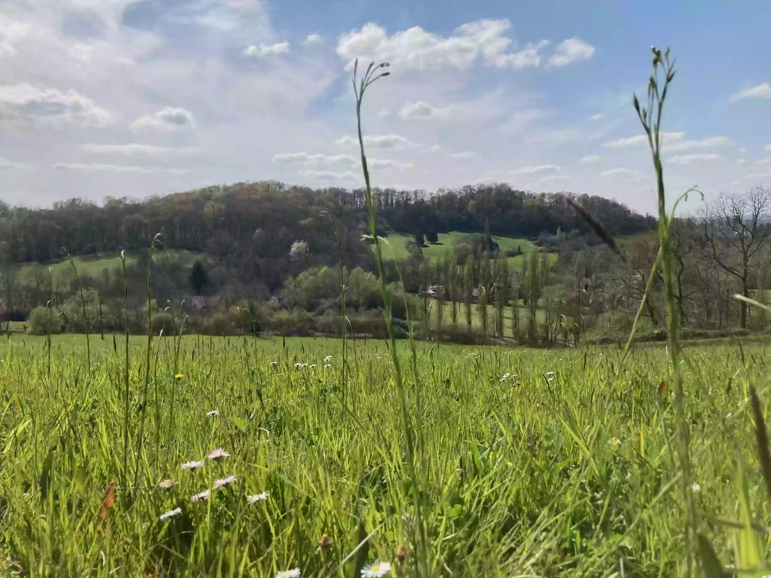 Domaine Labouroume