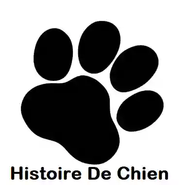 Histoire De Chien