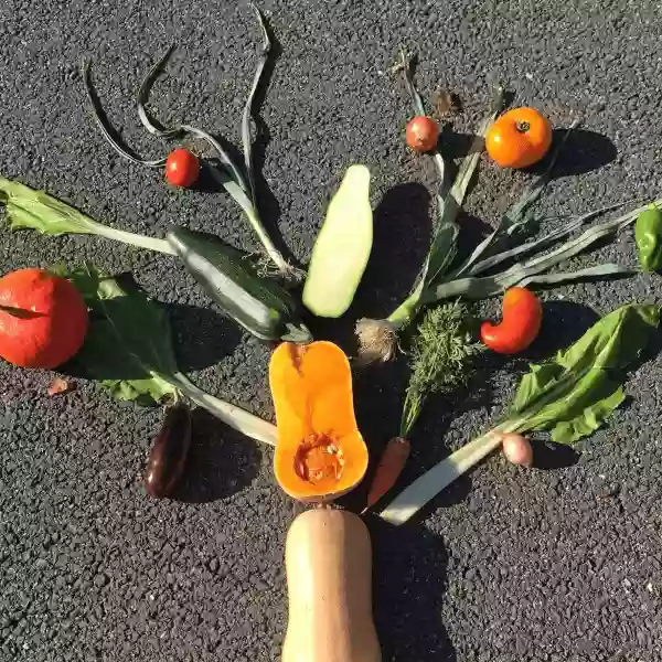 L'Arbre à Légumes