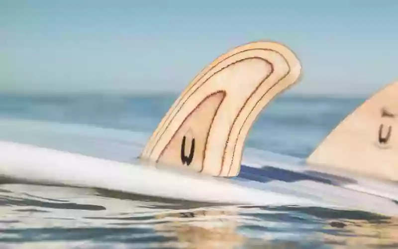 WILDCOAST Surfboard - Shaper, Reparation Surf