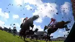 Cavalli e Fantini
