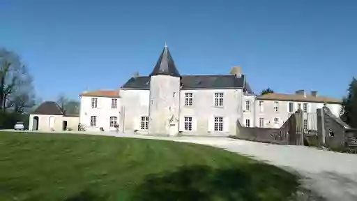 Gite Château du Fief - Maison 200 m2 avec piscine