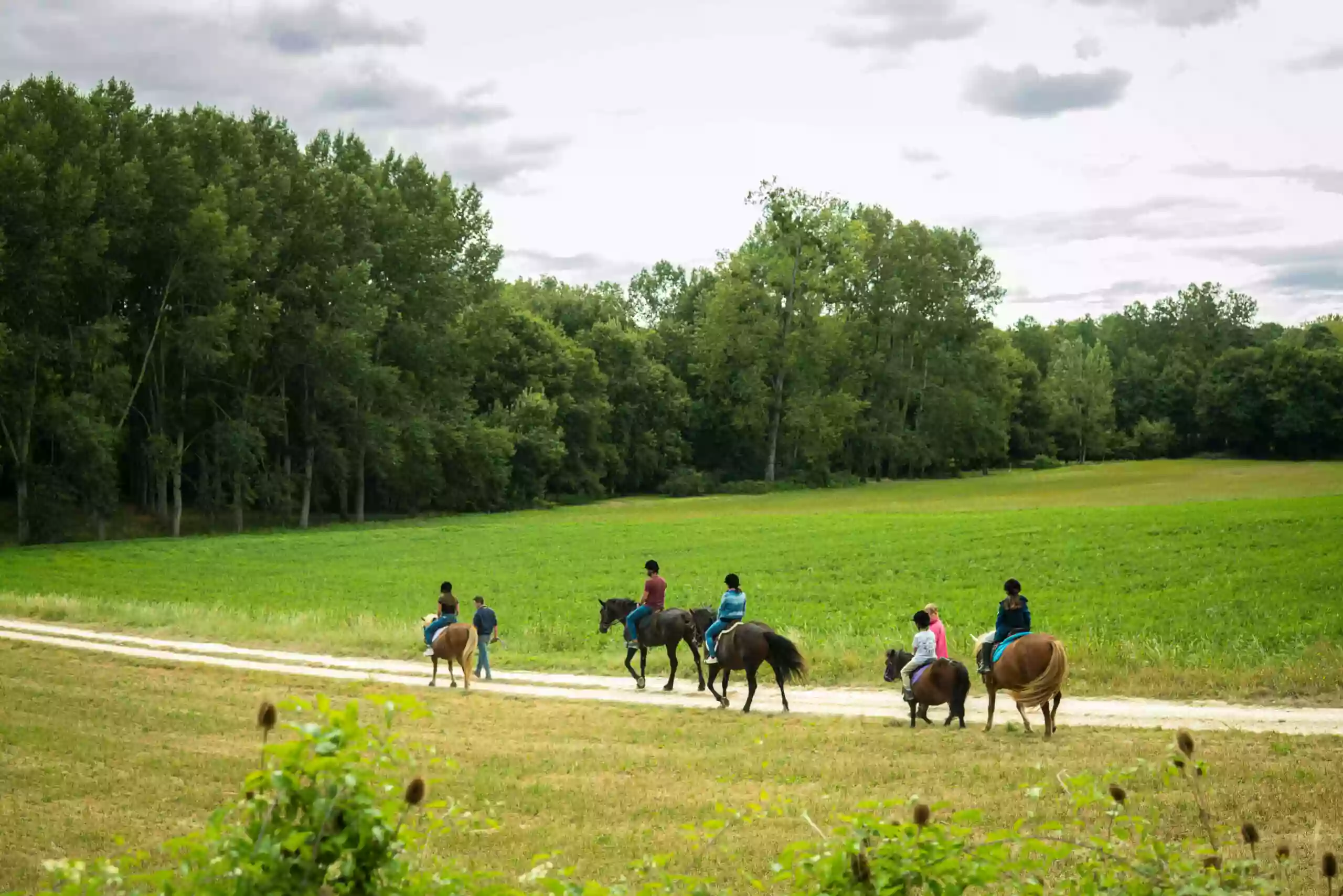 Poney club des retrouvailles