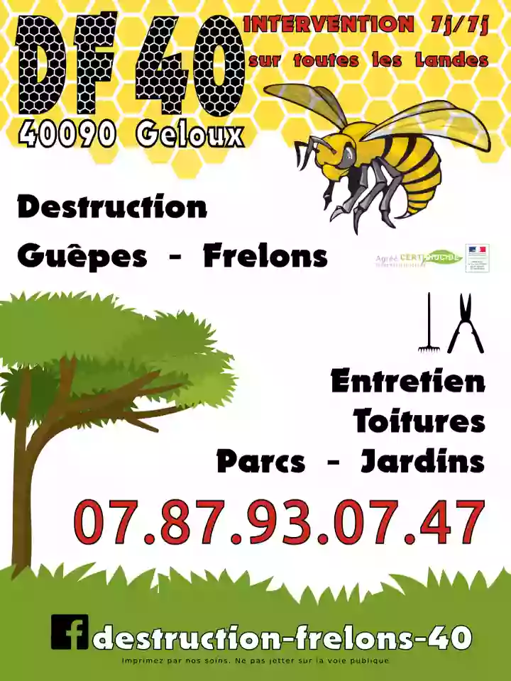 DF40 Destruction Frelons et Guêpes