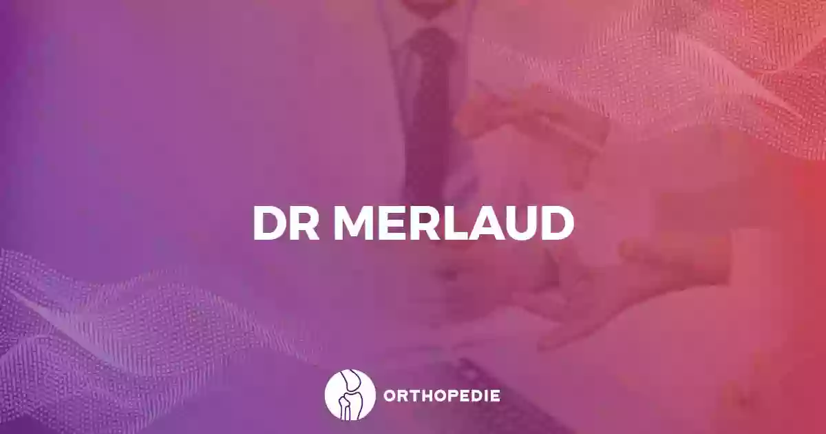 Dr Luc Merlaud