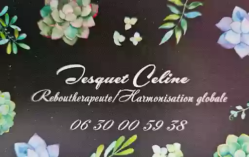 Tesquet Celine rebouthérapeute/harmonisation globale/naturopathie