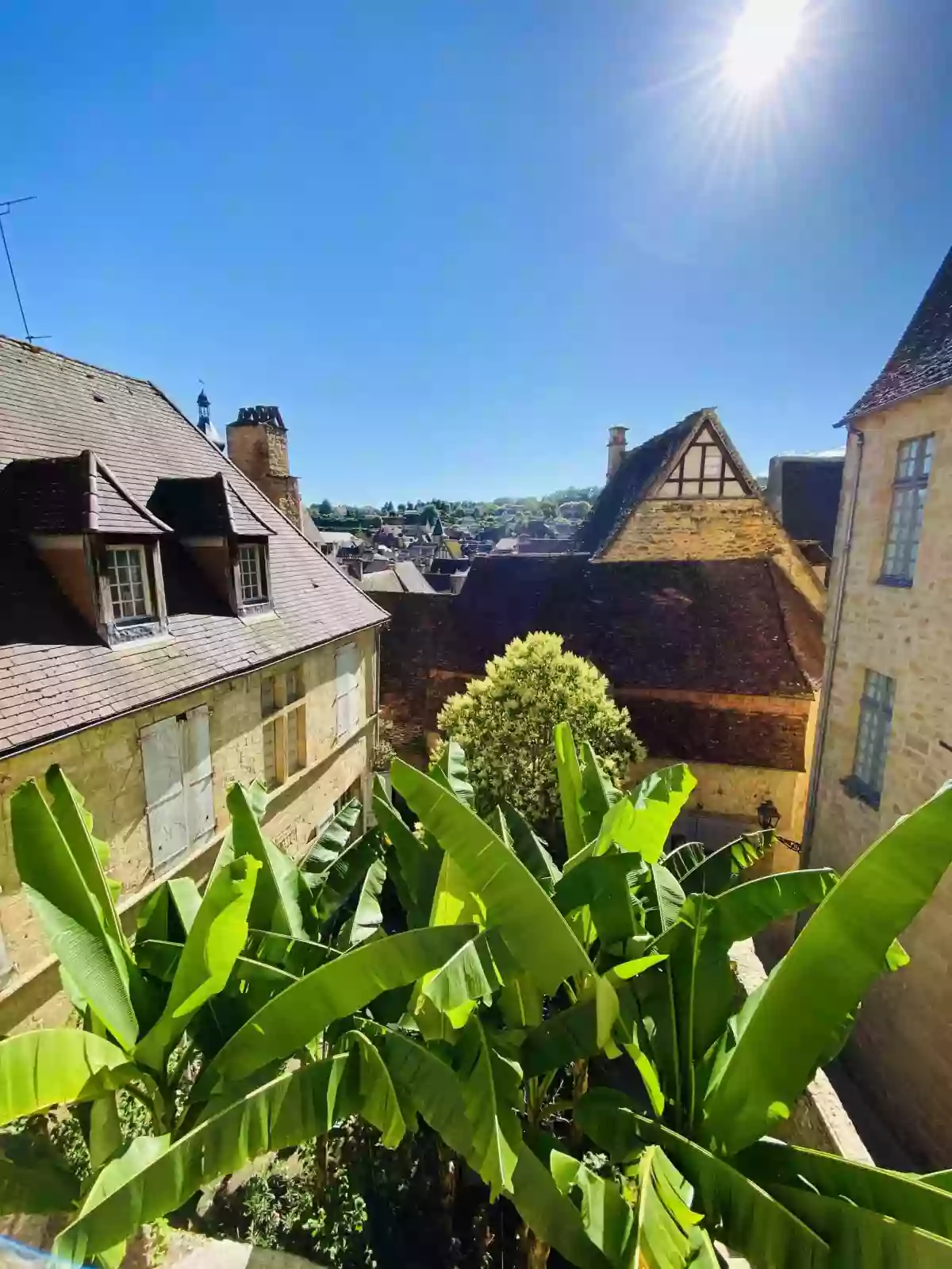 Sarlat Catalina