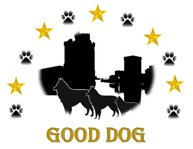 GOOD DOG Educateur  Comportementaliste Canin à La Rochelle