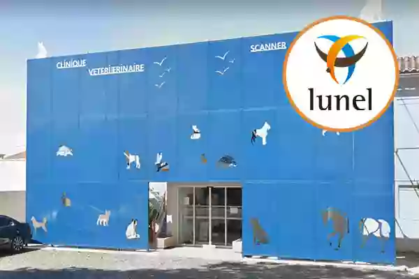 CLINIQUE VETERINAIRE ANIMAVET