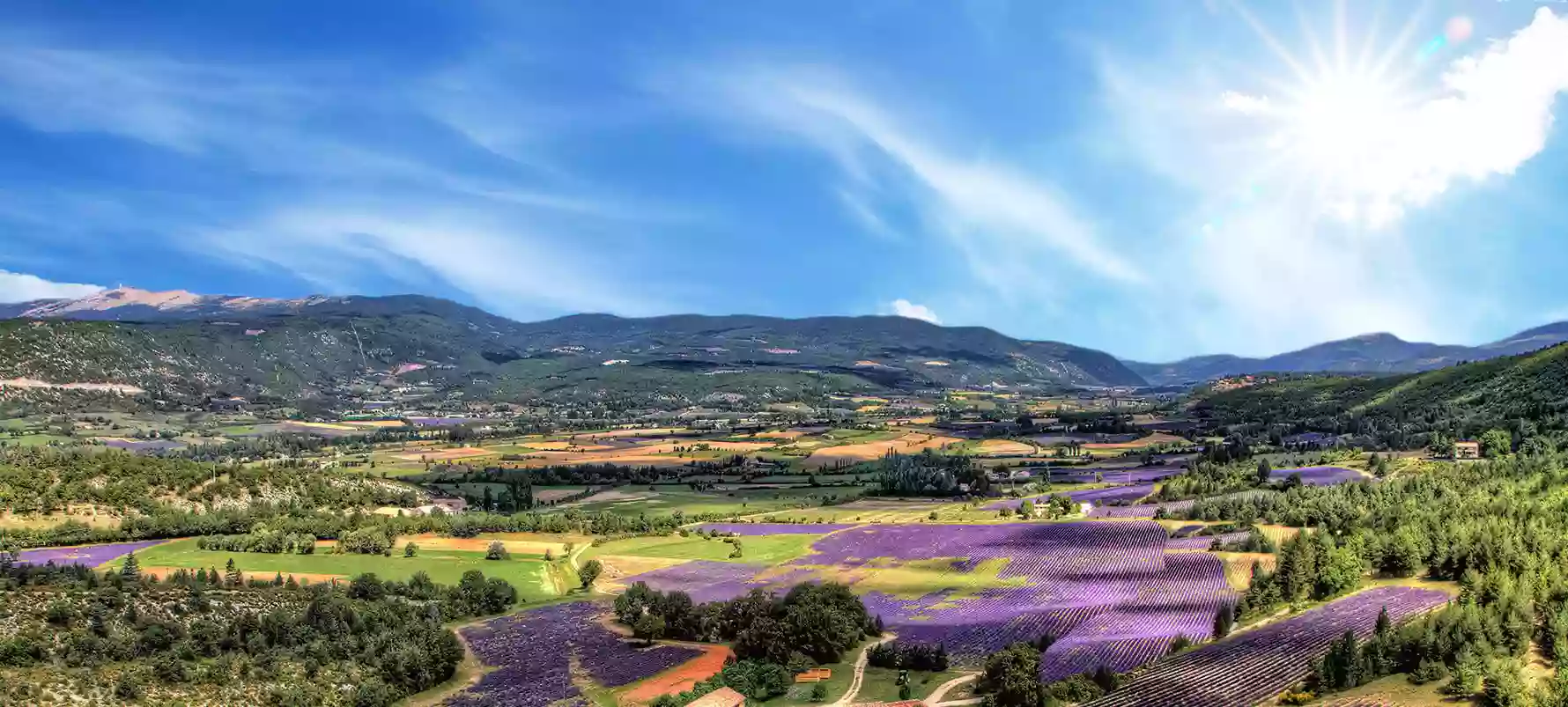 Paradis de Provence