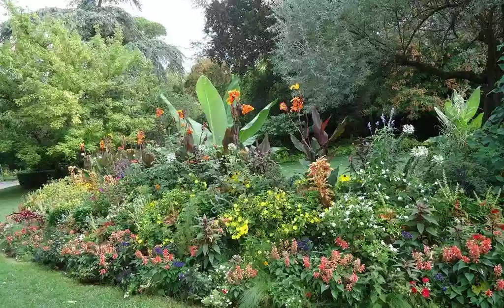 Jardin des Plantes